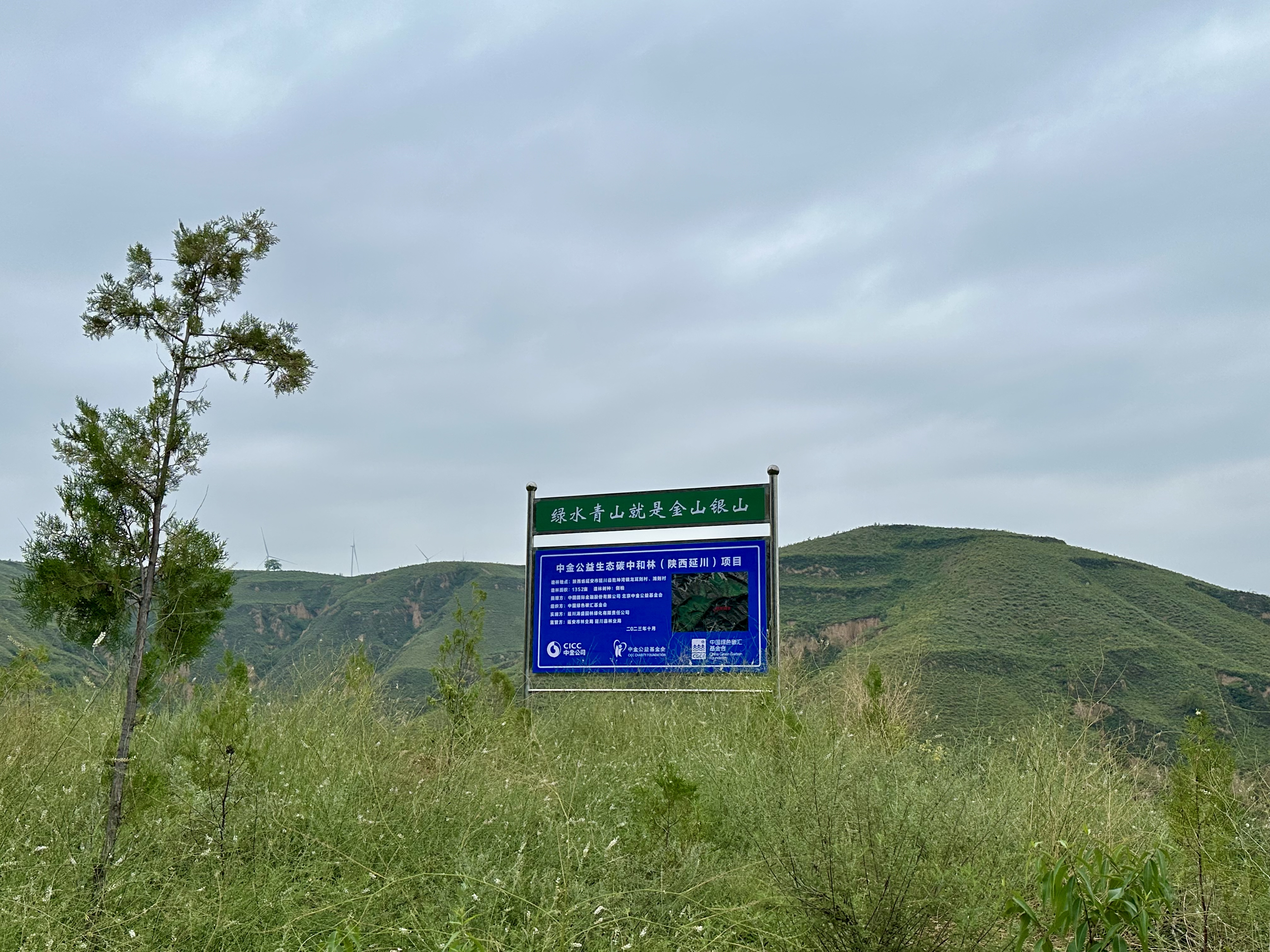 202508回訪原圖.jpg 202508回訪原圖.jpg